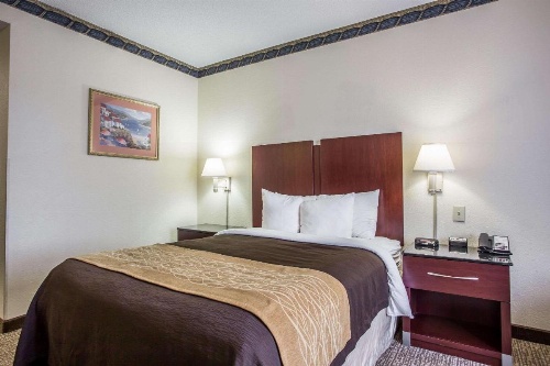 Comfort Inn & Suites Ft.Jackson Maingate image 20